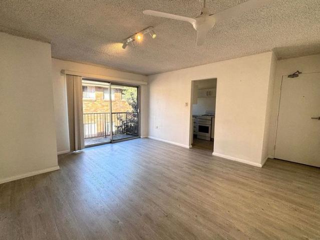 Bright and Sunny Apartment