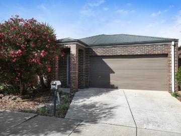 Three Bedroom Plus Study in Tarneit