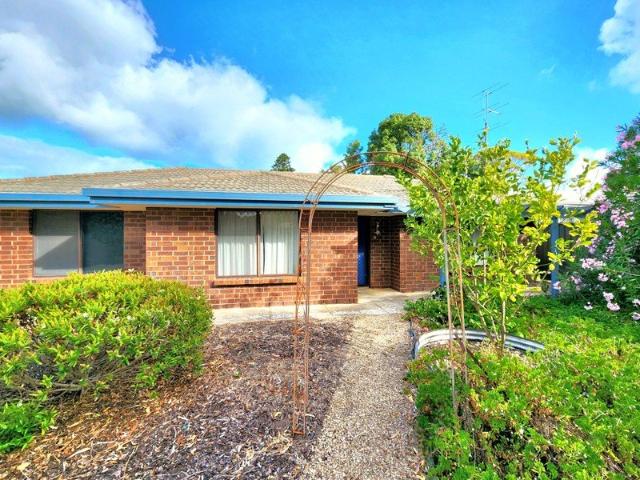 THREE BEDROOMS, MULTIPLE LIVING AREAS & SHEDS GALORE