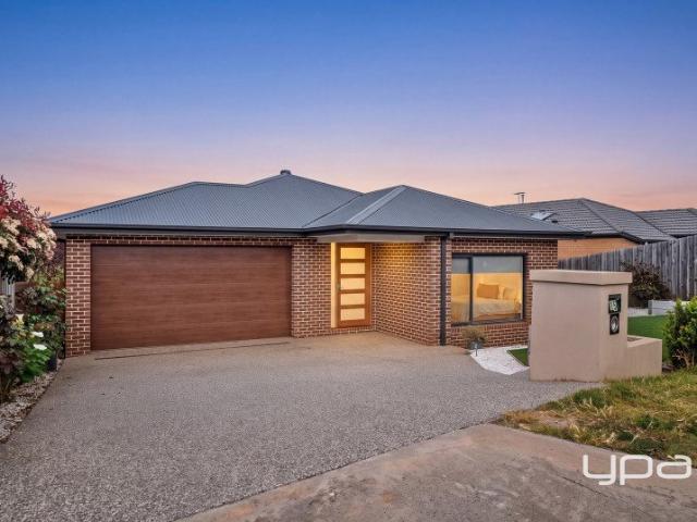 THREE LIVING SPACES & ELEVATED ENTERTAINING ON 612m²