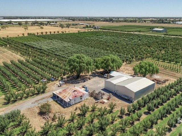 Thriving Orchard Close to Shepparton Farmhouse & Shedding Included