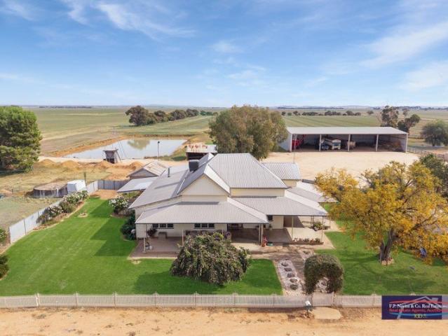 Coniston 167 Hectares 412 Acres