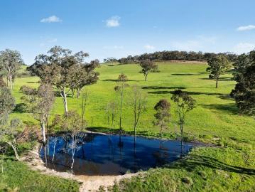 Outstanding 275 Acre Block