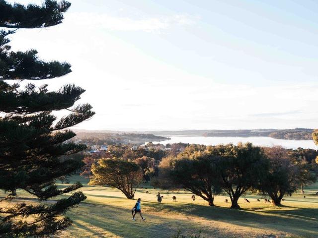 Time to build your dream home? We have the perfect homesite for you