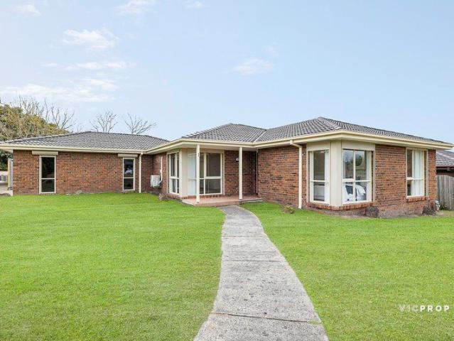 AUCTION THIS SAT 10TH @ 2PM