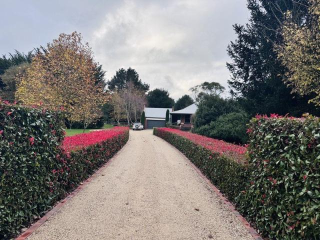 Timeless Country Elegance