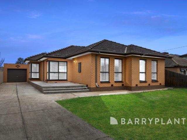 Timeless Elegance delivering Long Term Value