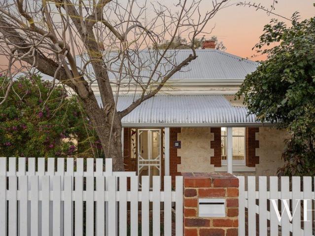Timeless Plympton Character with Versatile Studio