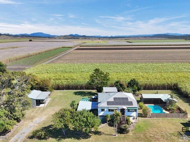 Timeless Queenslander Charm on Half an Acre with Pool, Shed & Dual Living Potential