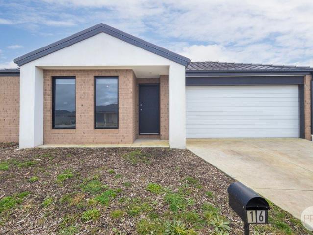 TIDY FOUR BEDROOM FAMILY HOME