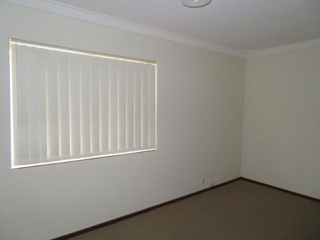 TIDY 1X1 UNIT