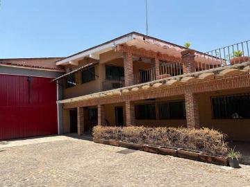Tienda / Local Comercial en Renta en Dr. Jos? G Parres