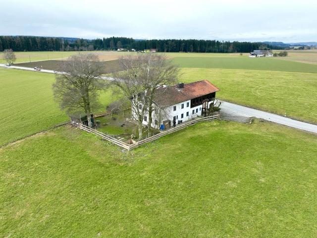 Tierpension: Anwesen mit großzügigen 310 m² Wohnfläche und 866 m² Grundstück