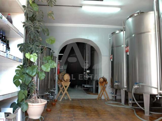 Tierra agrícola 157709 m2 m² Jerez de la Frontera