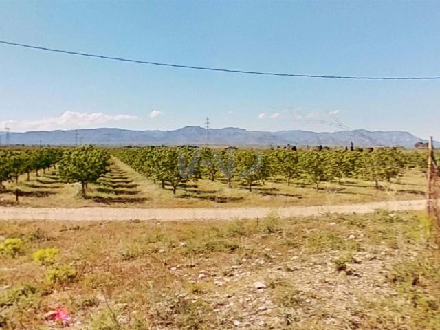 Tierra agrícola 214074 m2 m² Ulldecona