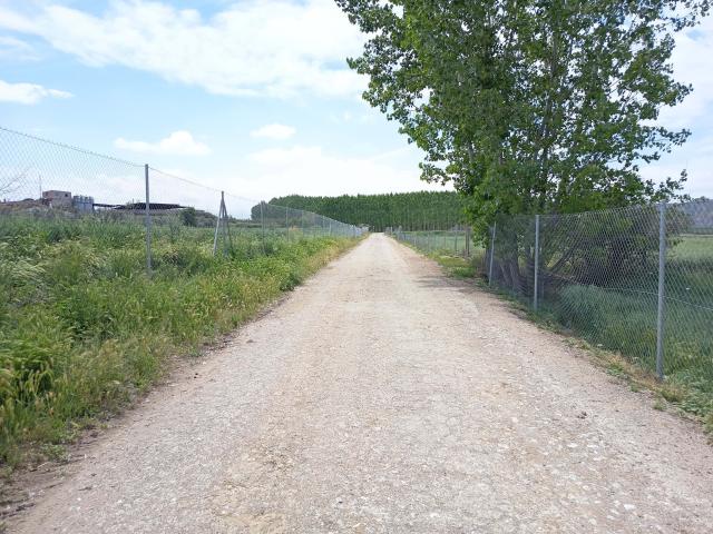 Tierra agrícola 23939 m2 m² Benalúa