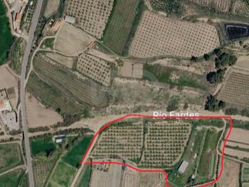 Tierra agrícola 23939 m2 m² Benalúa