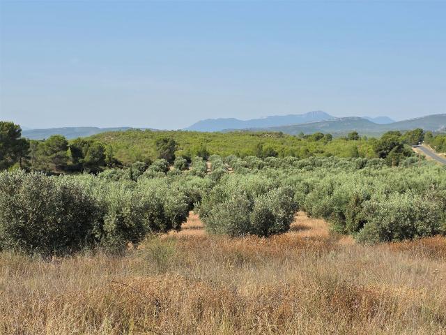 Tierra agrícola 2540000 m2 m² Moratalla