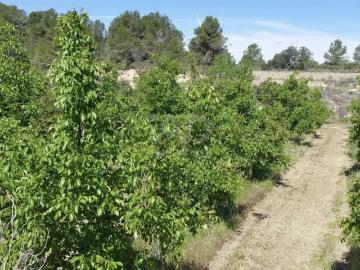 Tierra agrícola 255000 m2 m² Gandesa