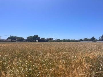 Tierra agrícola 2772 m2 2772m² Los Caños de Meca