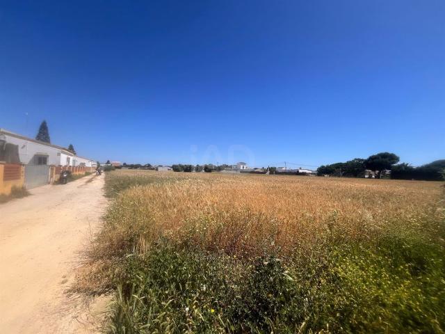 Tierra agrícola 2772 m2 2772m² Los Caños de Meca