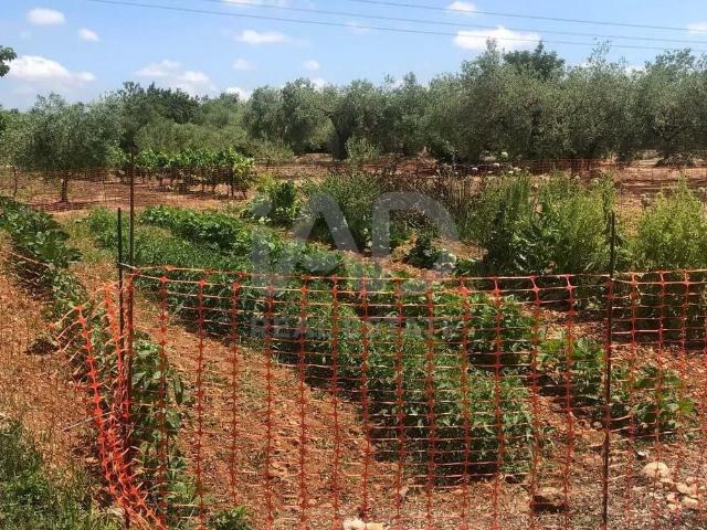 Tierra agrícola 54113 m2 m² San Rafael del Río