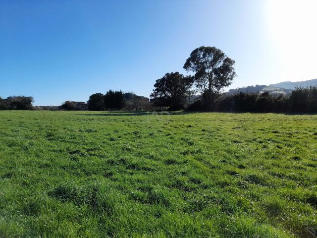 Tierra agrícola 7044 m2 m² Abanto