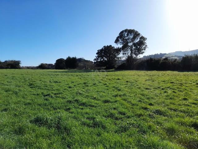 Tierra agrícola 7044 m2 m² Abanto