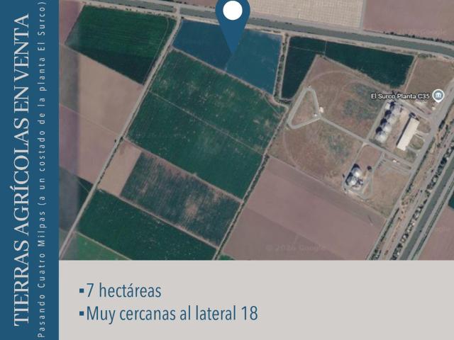 TIERRAS AGRÍCOLAS EN VENTA