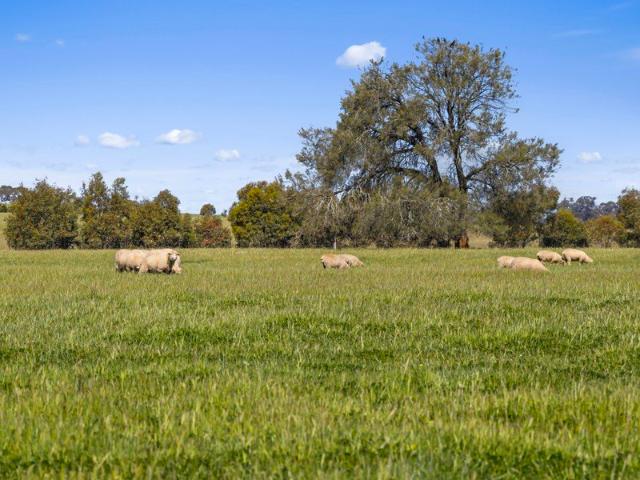 Tightly Held, Well Developed Grazing | 586* Acres