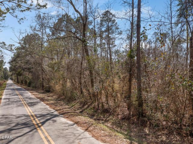 Tiller Rd, Unit SOUTH LOT, Chipley, FL 32428 | MLS #786078