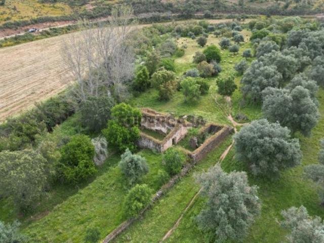 Típico Monte Alentejano para recuperar em Almodôvar