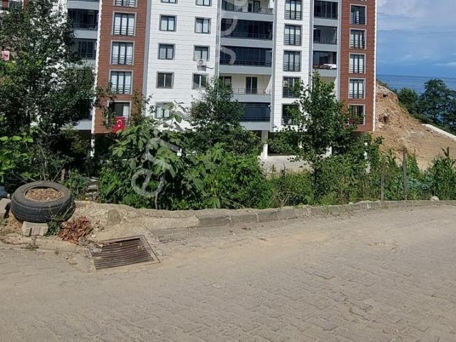 Tirebolu Plaj Bölgesinde Satılık 3+1 Geniş Daire