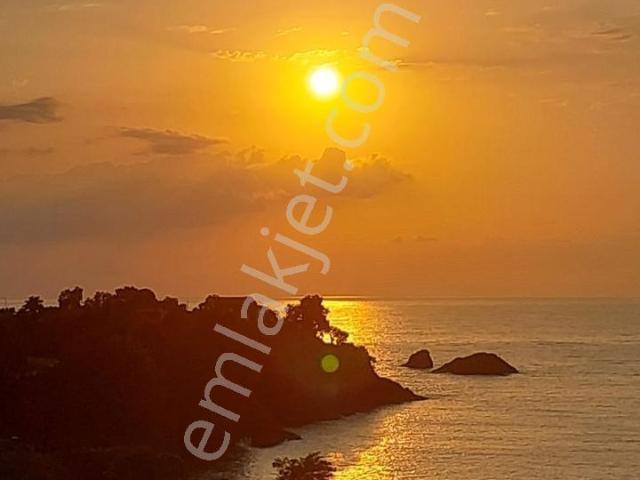 Tirebolu'da Panoramik Deniz Manzaralı 3+1 Satılık Daire