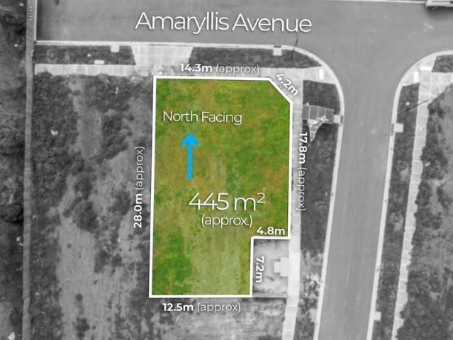 Titled 445m² Land in the Heart of Thornhill Park Great opportunity !