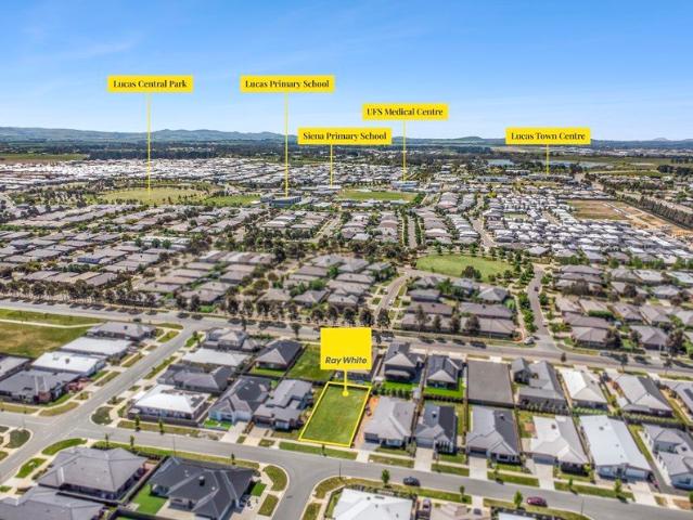 Titled, Fully Fenced & Ready to Plan Your Future in Lucas Grange