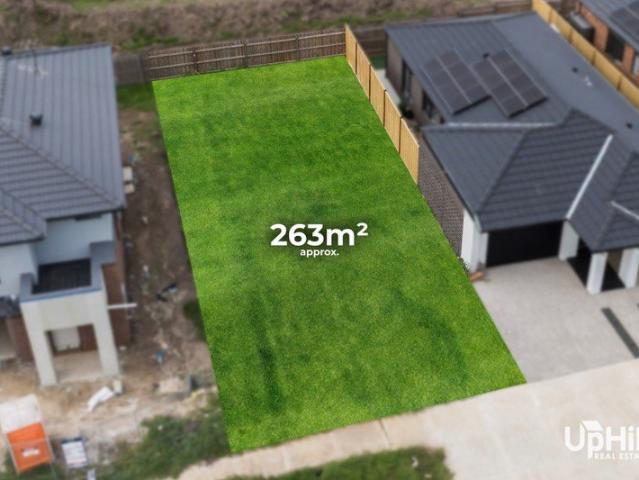 Titled & Ready to Build Prime Hampton Park Opportunity!