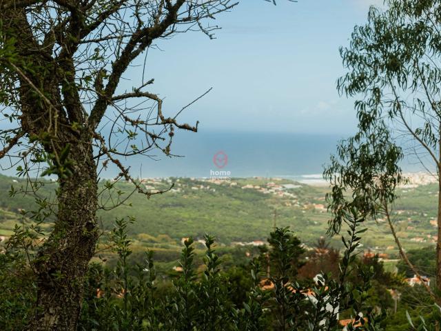 TO BUY /TO INVEST * TERRENO | SINTRA | COLARES PENEDO