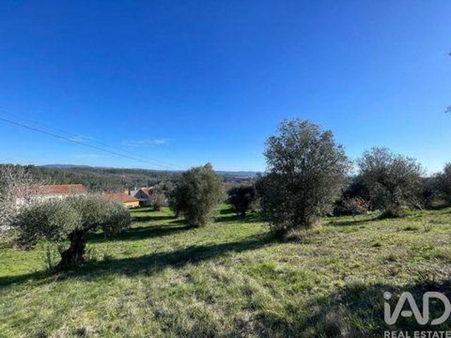 Tomar Santarem 102117042