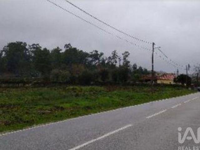 Tondela Viseu 103702529