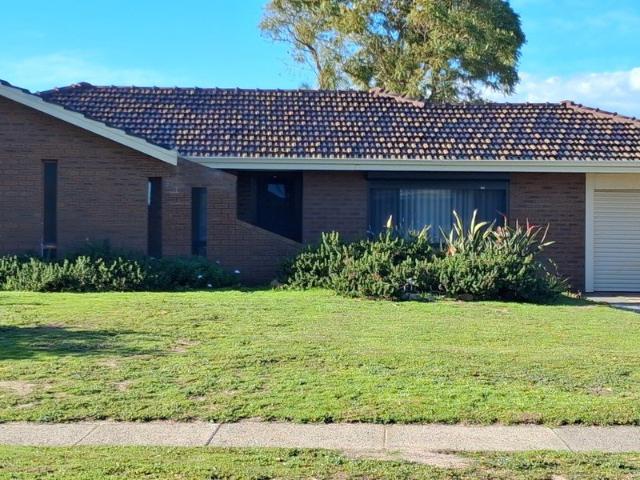Freshly Renovated 3x1 with Study, Big Yard, Shed+Solar in Quiet Street near Park