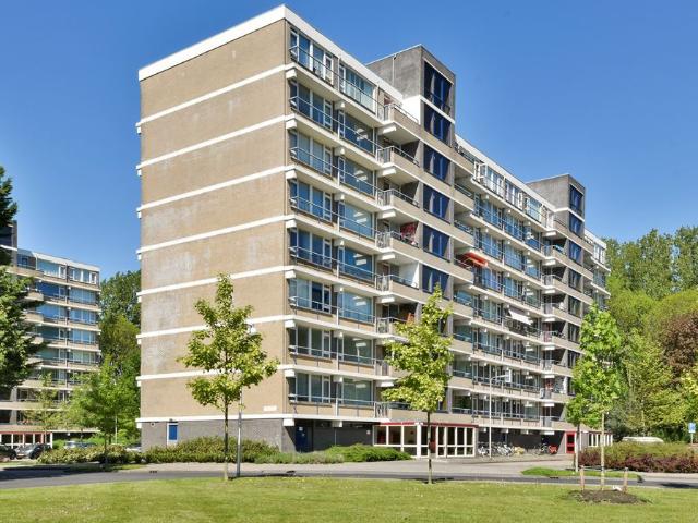 Tobias Asserlaan, Diemen, Nederland