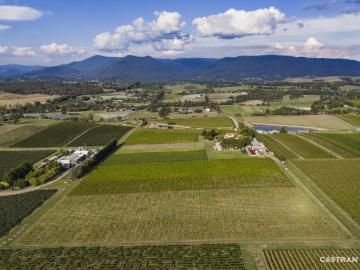 Tokar Estate | Established Yarra Valley Winery and Hospitality Holding of Scale with Multiple Income Streams