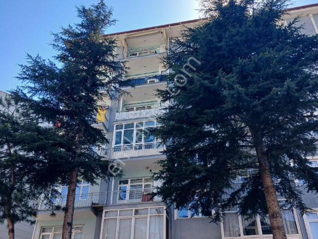 Tokat Bizim Emlaktan 3+1 Kiralık Daire