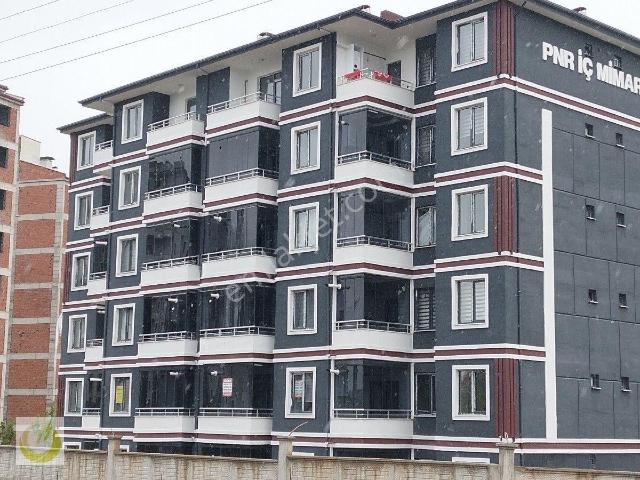 Tokat Merkez Yeniyurt Mh Eşyalı Eşyasız 1+0 Kiralık Daireler