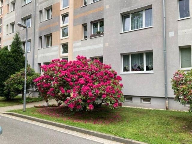 Tolle Wohnung für Singles