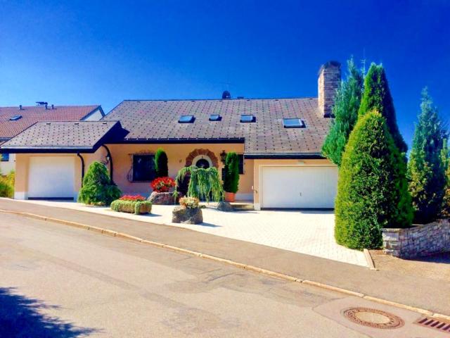 Tolle Landhausvilla in begehrter sonniger Waldrandlage gelegen