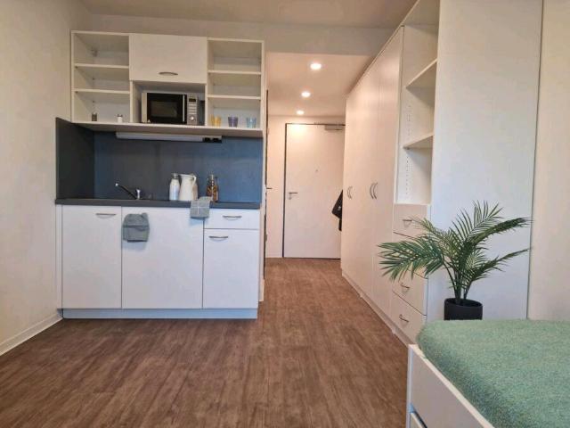 Tolles 1 Raumapartment zur Miete im Leipziger Zentrum