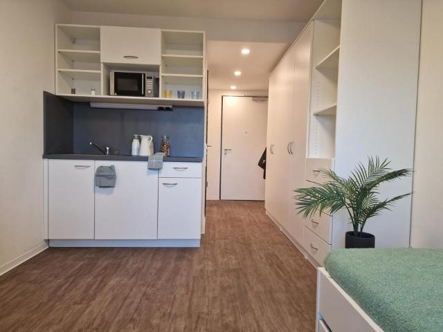 Tolles 1 Raumapartment zur Miete im Leipziger Zentrum Wentzel Dr