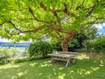 Tolles 5.5 Zimmer Einfamilienhaus mit atemberaubender Aussicht